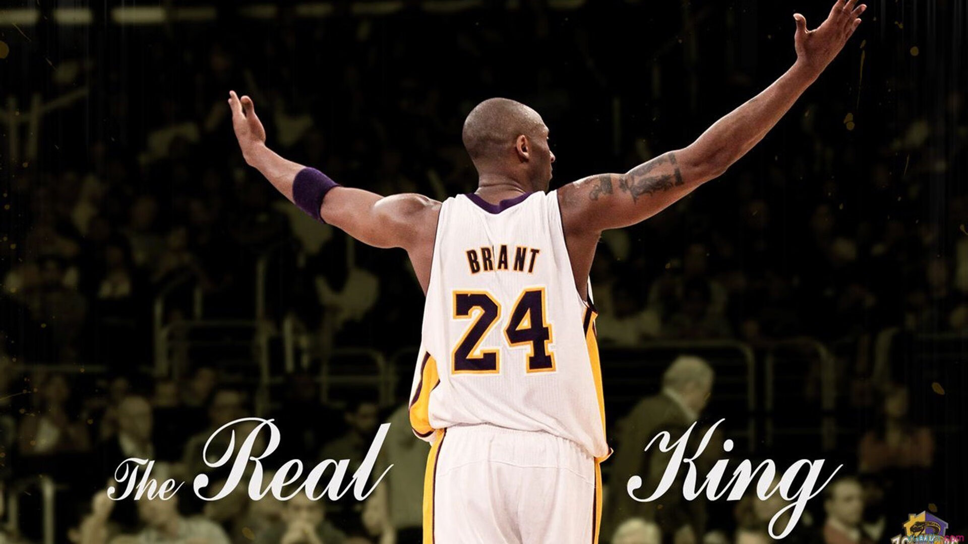 NBA球员职业道德探讨，nba球员社会地位